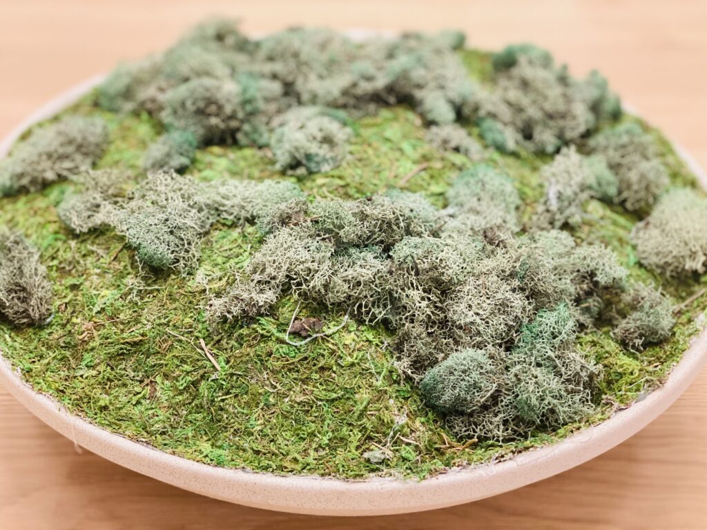 plate full of grass